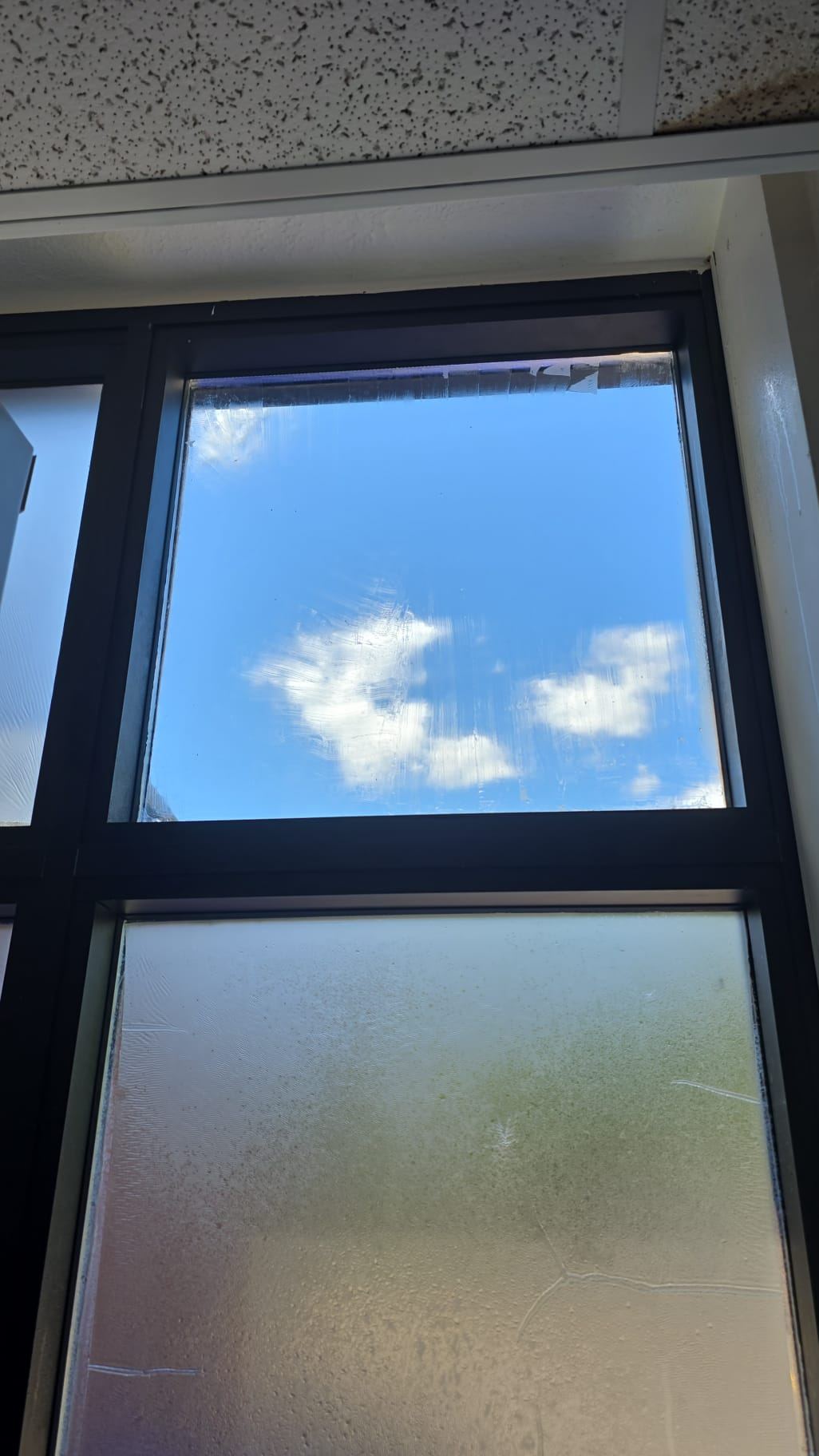 Old window film being removed — one pane already stripped clear, one still covered